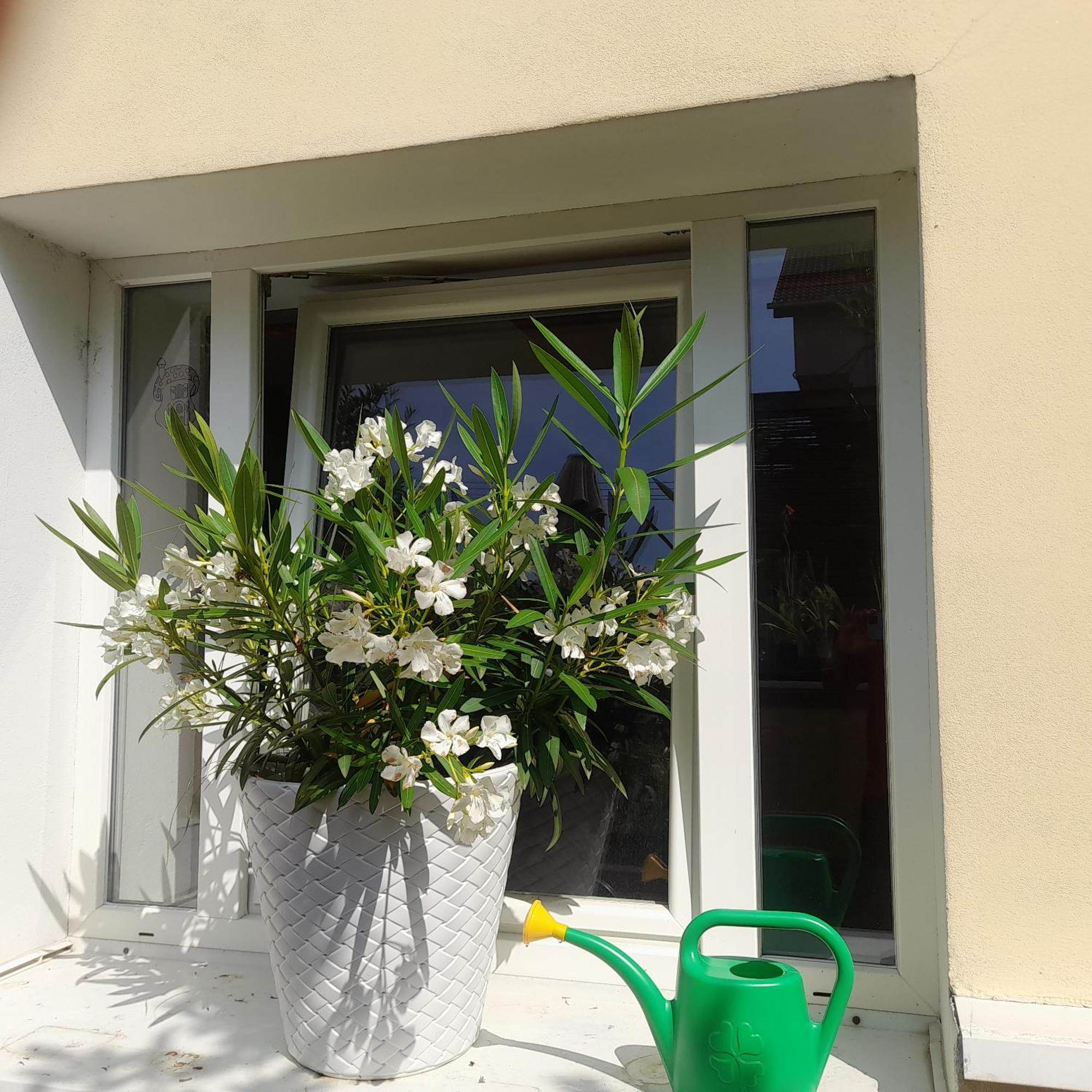 Apartamento Privat 2 Na Sihoti Trenčín Exterior foto